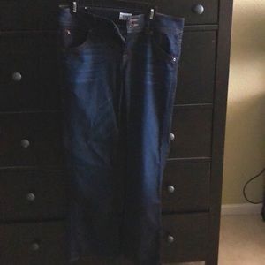 Hudson Signature Petite Bootcut Jean